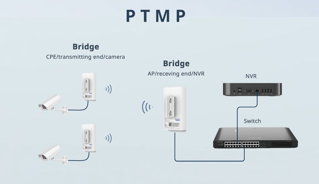 PTMP Diagram